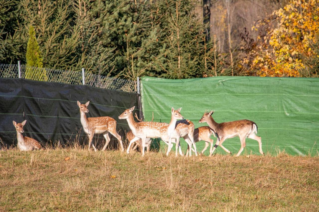 Grand Tatry - Miejsce Na Wyjatkowy Pobyt Dla Ciebie I Twojej Rodziny! - Sauna I Jacuzzi Wliczone W Cene Pobytu -10 Minut Pieszo Od Term Bania Białka Tatrzańska Εξωτερικό φωτογραφία